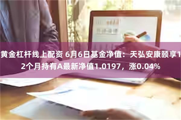 黄金杠杆线上配资 6月6日基金净值：天弘安康颐享12个月持有A最新净值1.0197，涨0.04%