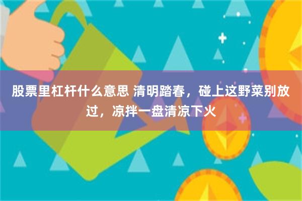 股票里杠杆什么意思 清明踏春，碰上这野菜别放过，凉拌一盘清凉下火