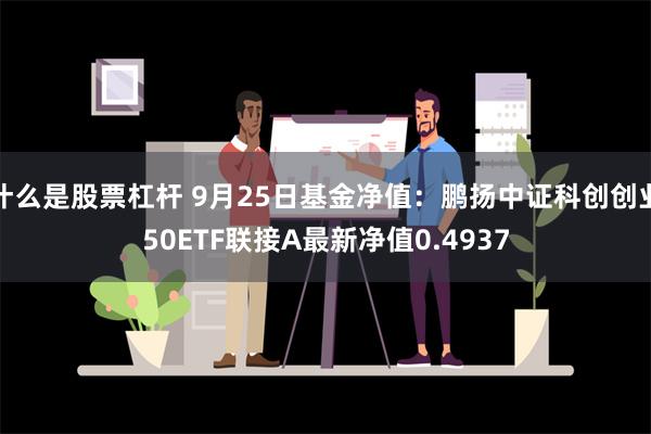 什么是股票杠杆 9月25日基金净值：鹏扬中证科创创业50ETF联接A最新净值0.4937