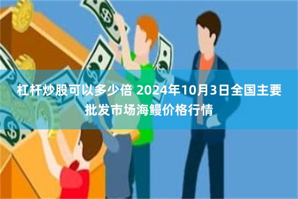 杠杆炒股可以多少倍 2024年10月3日全国主要批发市场海鳗价格行情