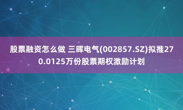 股票融资怎么做 三晖电气(002857.SZ)拟推270.0125万份股票期权激励计划