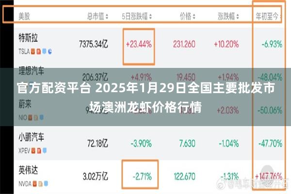 官方配资平台 2025年1月29日全国主要批发市场澳洲龙虾价格行情