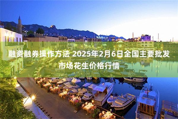 融资融券操作方法 2025年2月6日全国主要批发市场花生价格行情