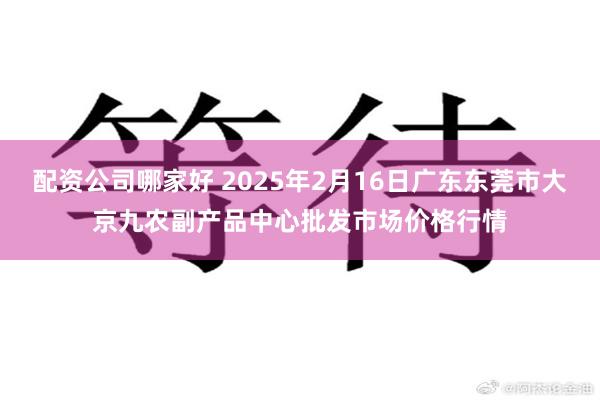 配资公司哪家好 2025年2月16日广东东莞市大京九农副产品中心批发市场价格行情