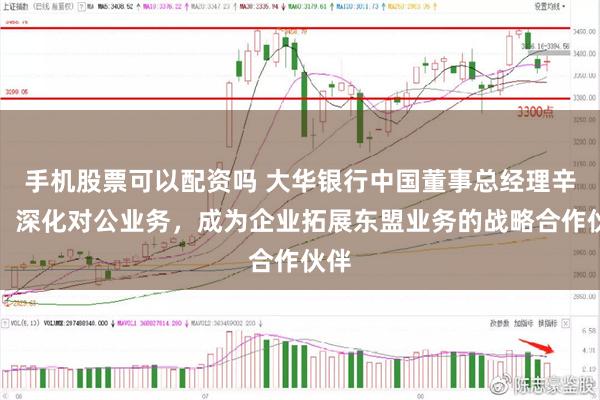 手机股票可以配资吗 大华银行中国董事总经理辛韬：深化对公业务，成为企业拓展东盟业务的战略合作伙伴