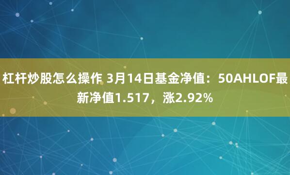 杠杆炒股怎么操作 3月14日基金净值：50AHLOF最新净值1.517，涨2.92%